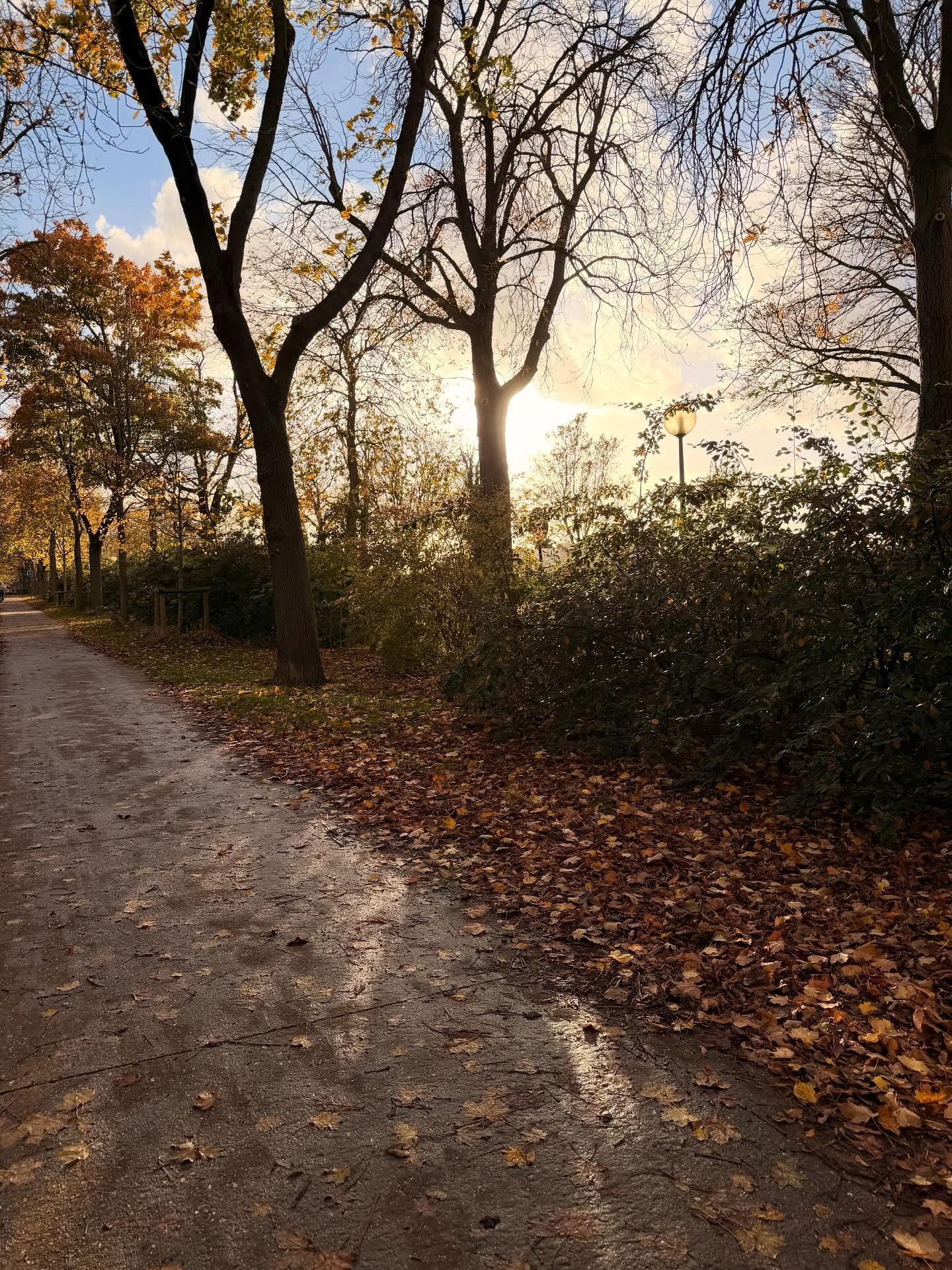 🍁🍂⛅️#byl#decoratrice#decorationdinterieu#automne#couleursdautomne